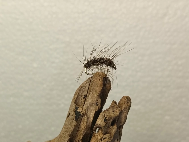 Griffith’s Gnat fly  - immersive angling