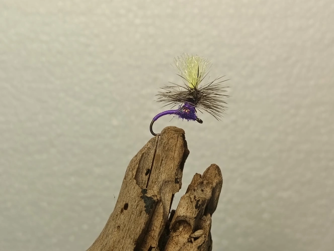 Klinkhammer purple haze Fly - immersive angling