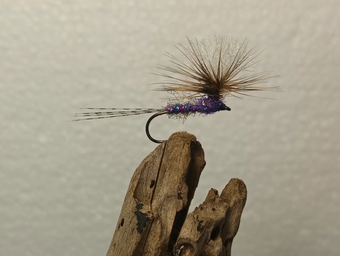 Parachute Adams purple haze Fly - immersive angling