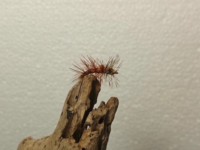 Stimulator fly pattern  - immersive angling