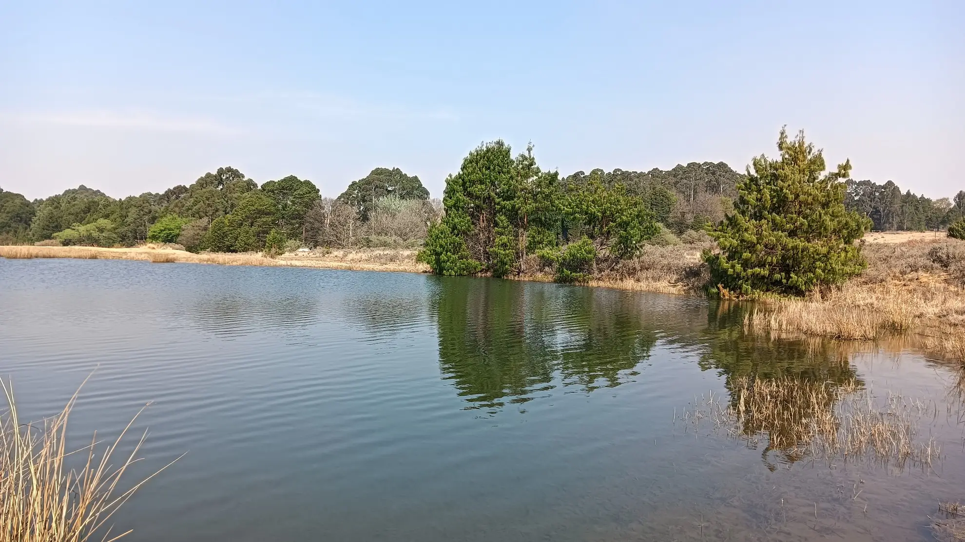 Dullstroom trout stillwater landscape