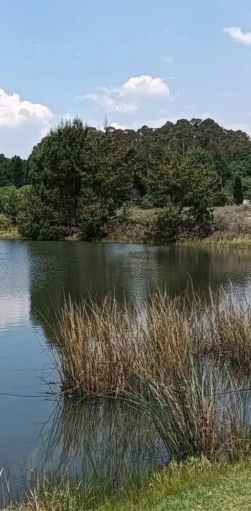 Dullstroom trout stillwater landscape near Laverpa